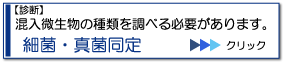 細菌・真菌同定