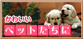 かわいいペットたちに