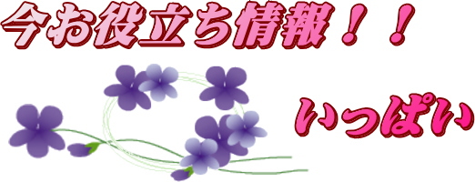 今役に立つ情報如何ですか