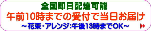午前10時までの受付で当日配達Ok