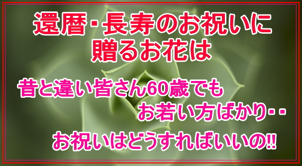 還暦・長寿のお祝いに贈るお花は