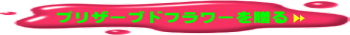 プリザーブドフラワーを贈る