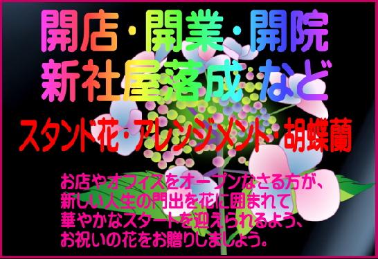 開店・開業・開院に贈るお花