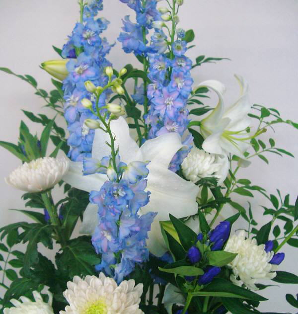 徳島県徳島市二軒屋町の花や:088-654-8739...オリジナルフラワーギフト通販サイトです。ご好評を頂いております、お祝い用、:アレンジメント・花束を心を込めてお届けいたします。お悔やみ用の花束:アレンジメント・法人用:スタンド花・洋ラン(胡蝶蘭)・ウェディングブーケ制作・枯れないお花:ブリザーブドフラワー・観葉植物・花鉢物などを販売しております。