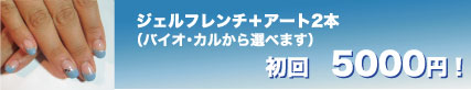 ジェルフレンチ+アート2本　5000円