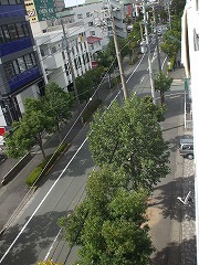 事務所南側道路