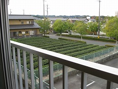 サウスステーション 西側和室からの景色