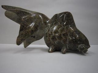 金魚2