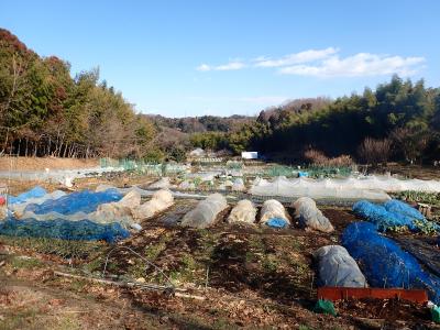 好山好会 Kouzankoukai