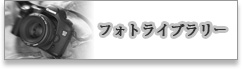 フォトライブラリー