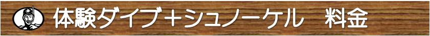 体験ダイブ＋シュノーエリング料金