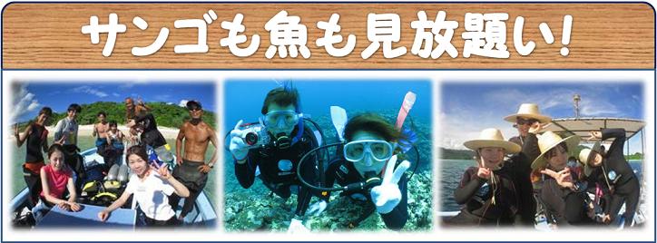 石垣島でファンダイビング