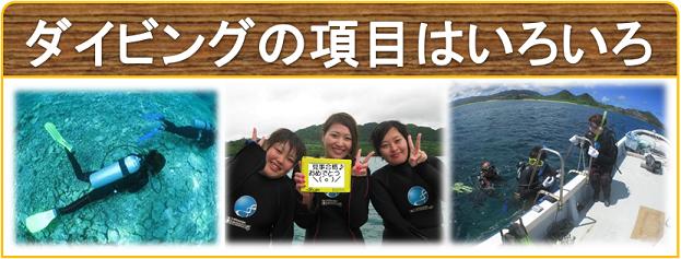 アドバンス講習内容