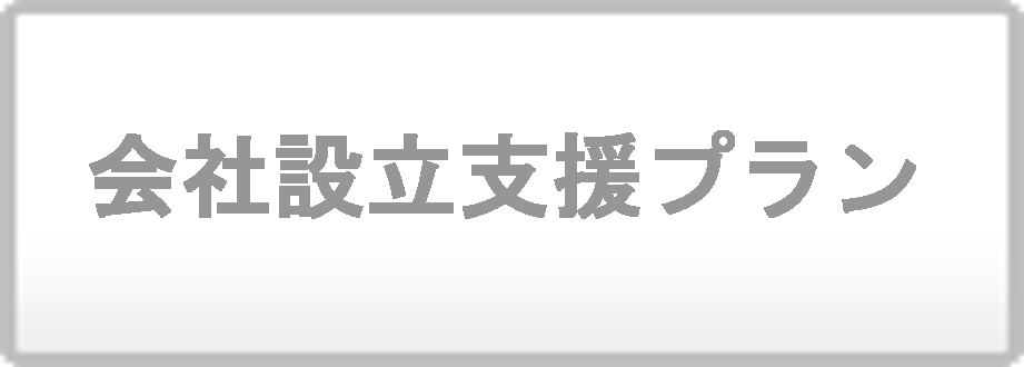 会社設立支援プラン